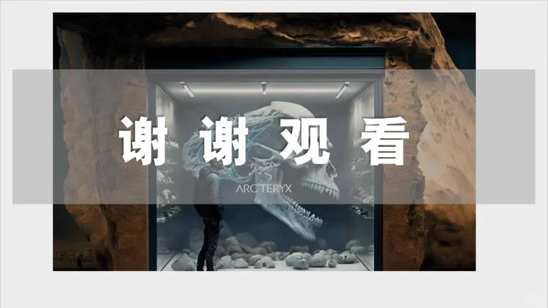 户外运动品牌始祖鸟—调查报告