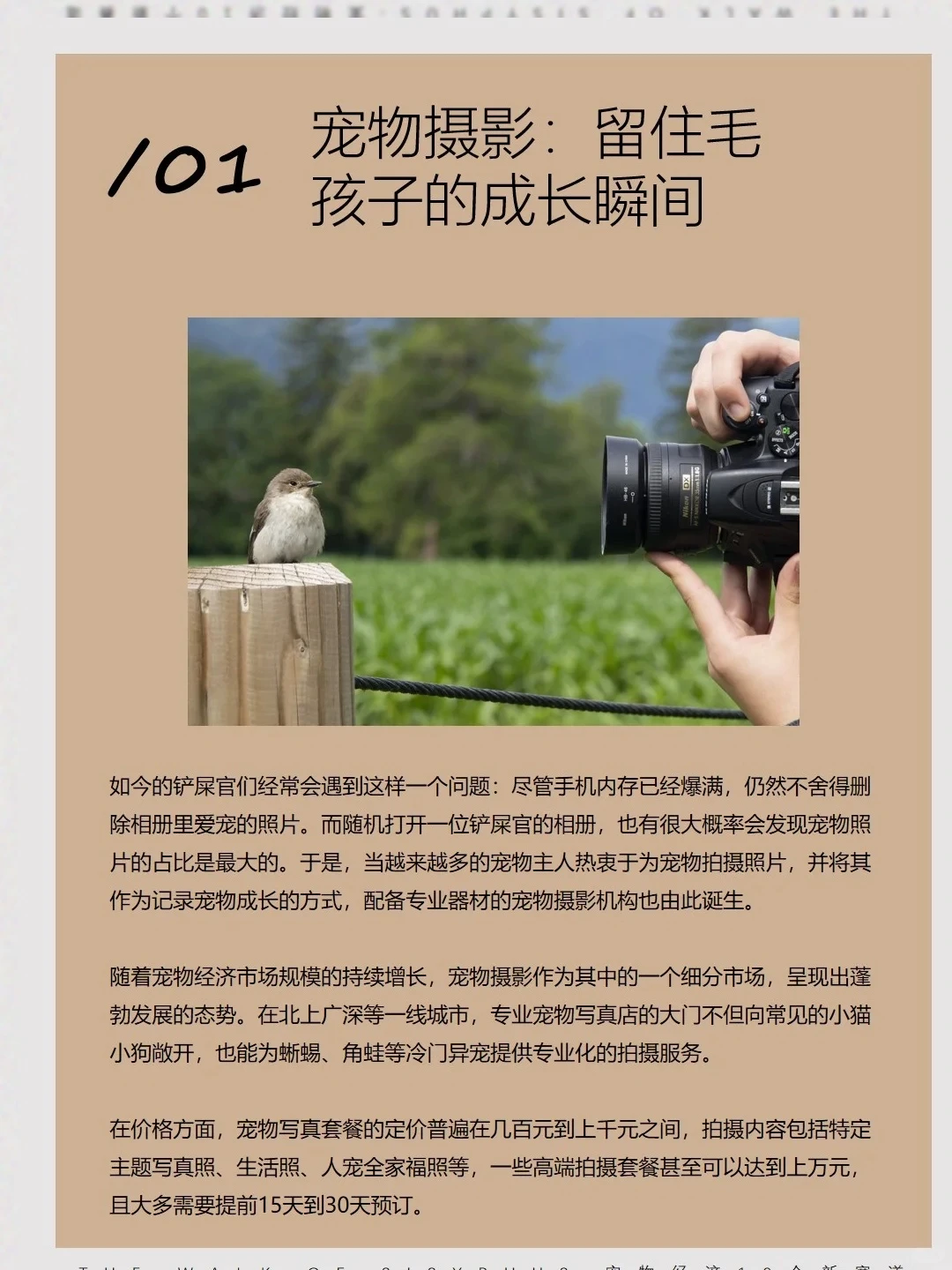 商业洞察|宠物10 个新赛道