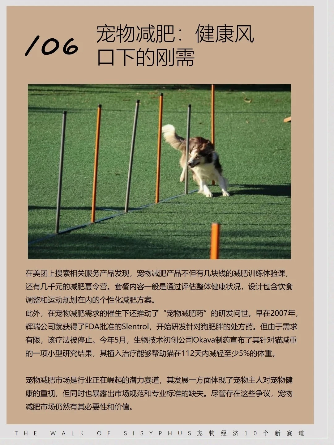 商业洞察|宠物10 个新赛道