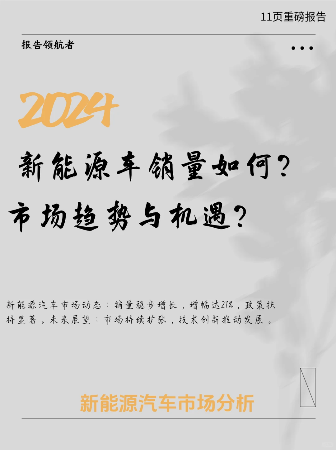 2024中国新能源汽车市场分析