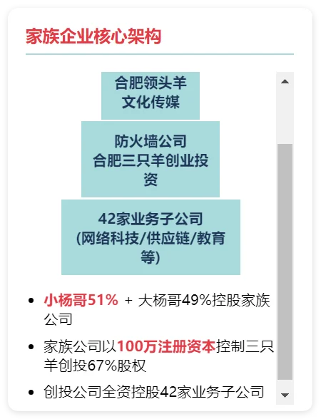 揭秘！小杨哥合肥三只羊股权结构！太强了！