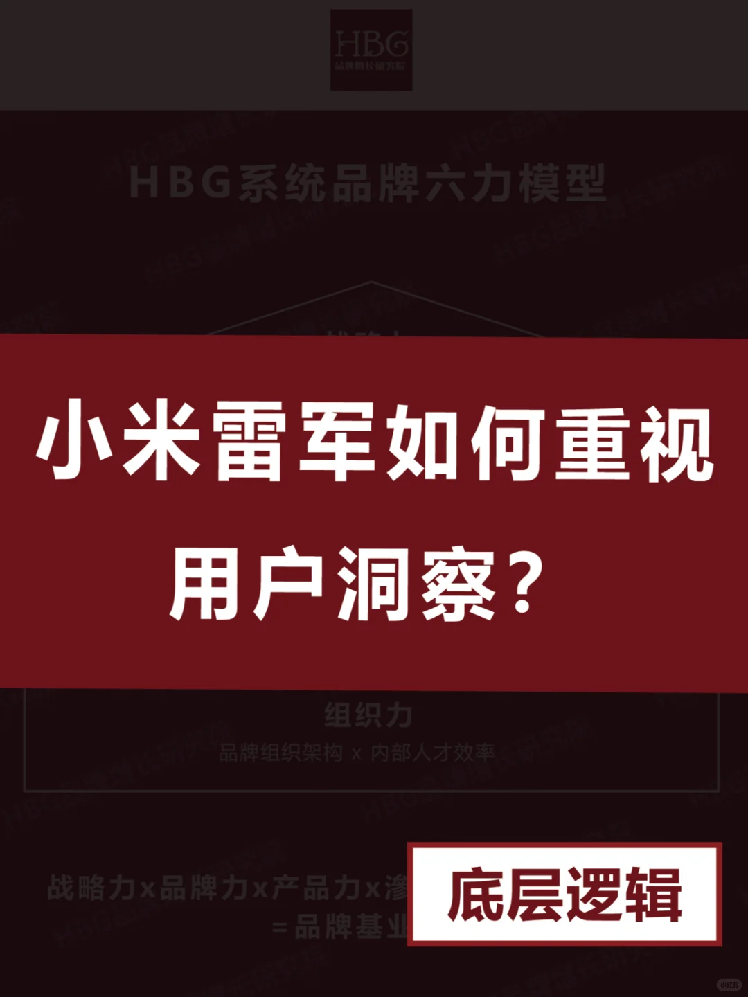 小米雷军如何重视用户洞察?