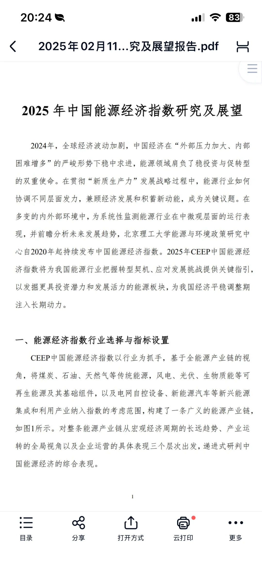 2025年中国能源经济指数研究报告