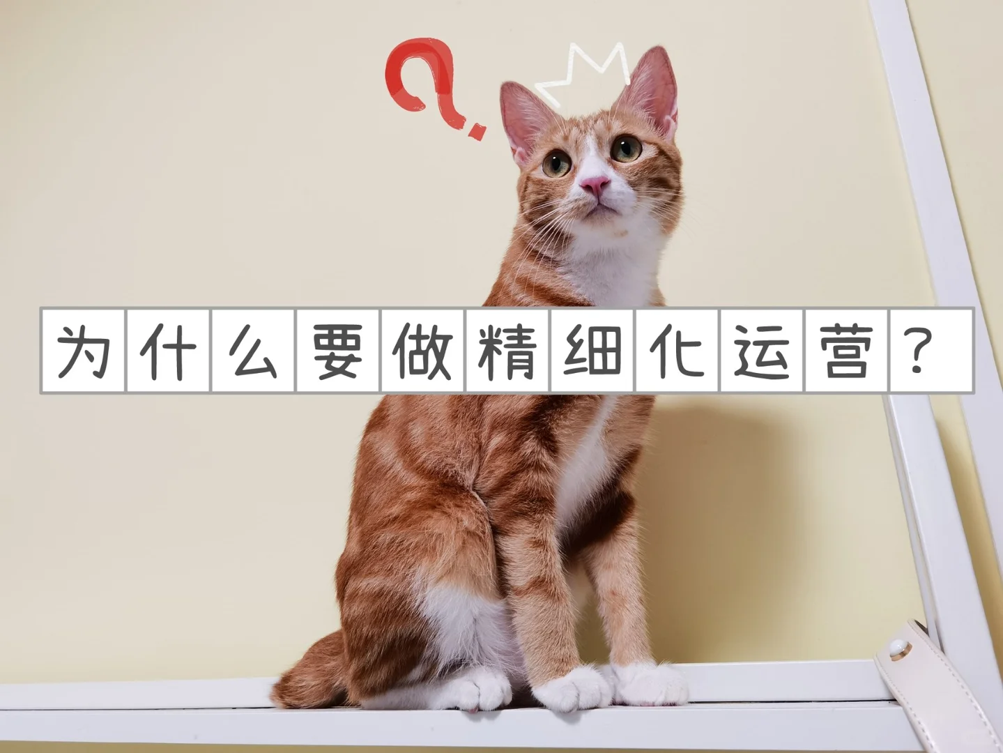 互联网下半场为什么要做精细化运营?