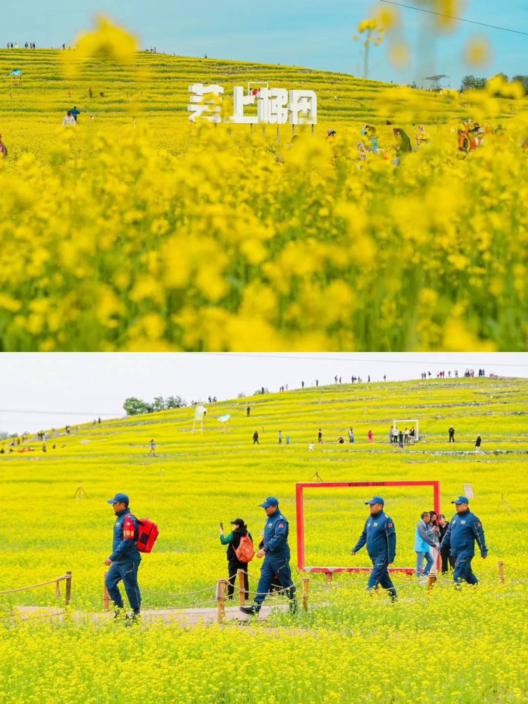 北京温榆河公园喜获国际花园城市项目奖?