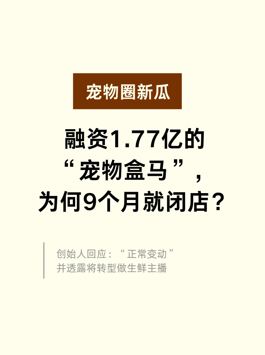 派特鲜生如何输掉这场1.77亿的豪赌