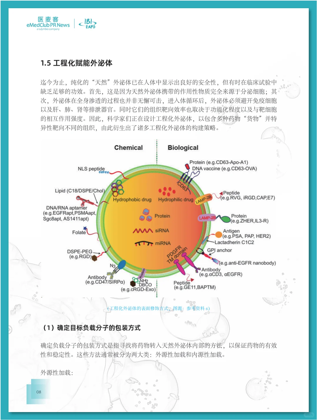 外泌体行业发展白皮书