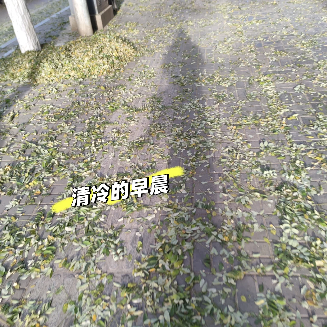 真诚建议:母婴博主一定要做双赛道❗️♻️