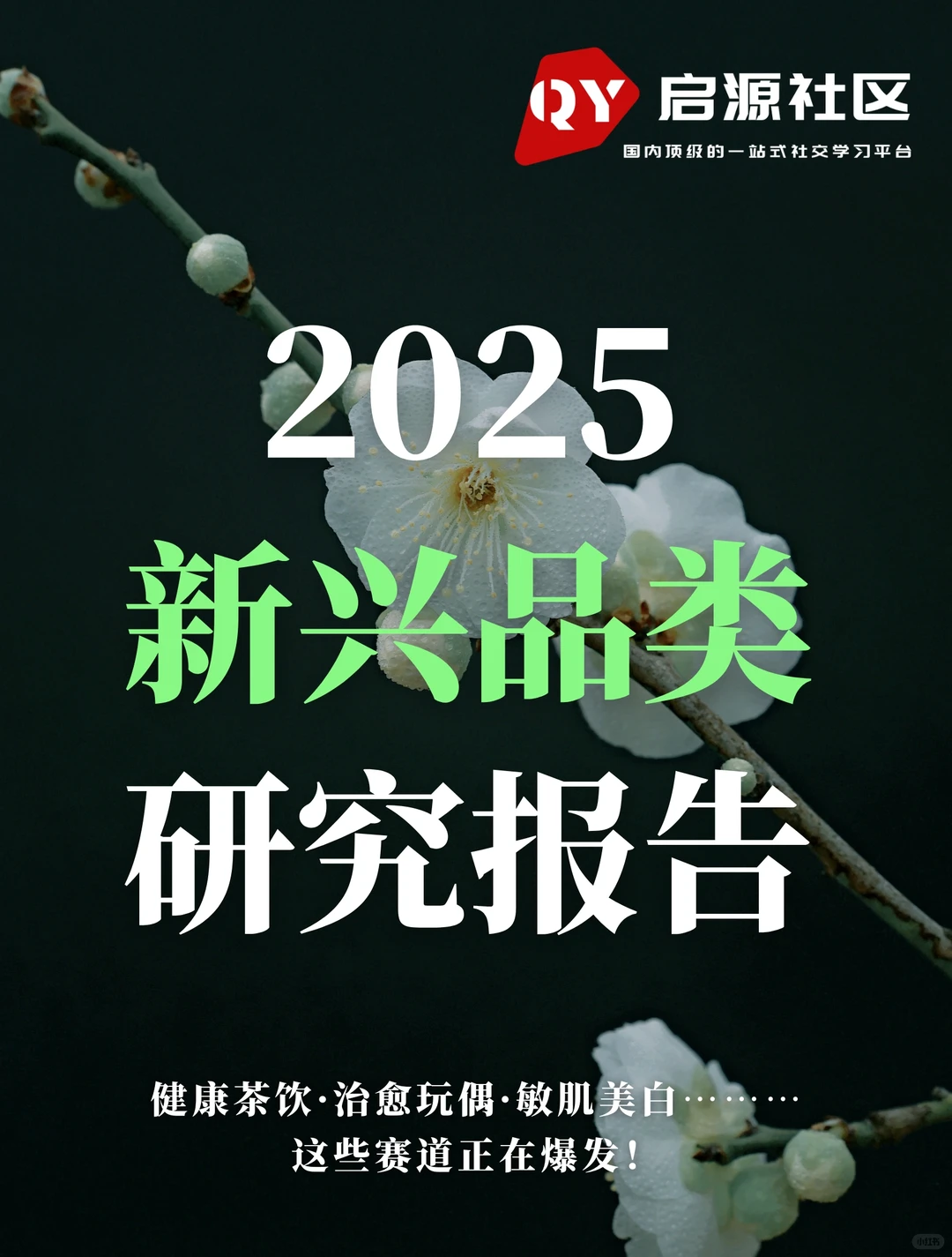 下一个风口赛道!2025新兴品类研究报告