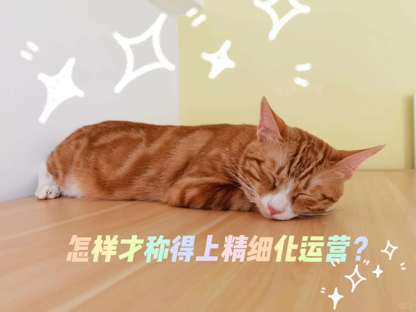 互联网下半场为什么要做精细化运营?