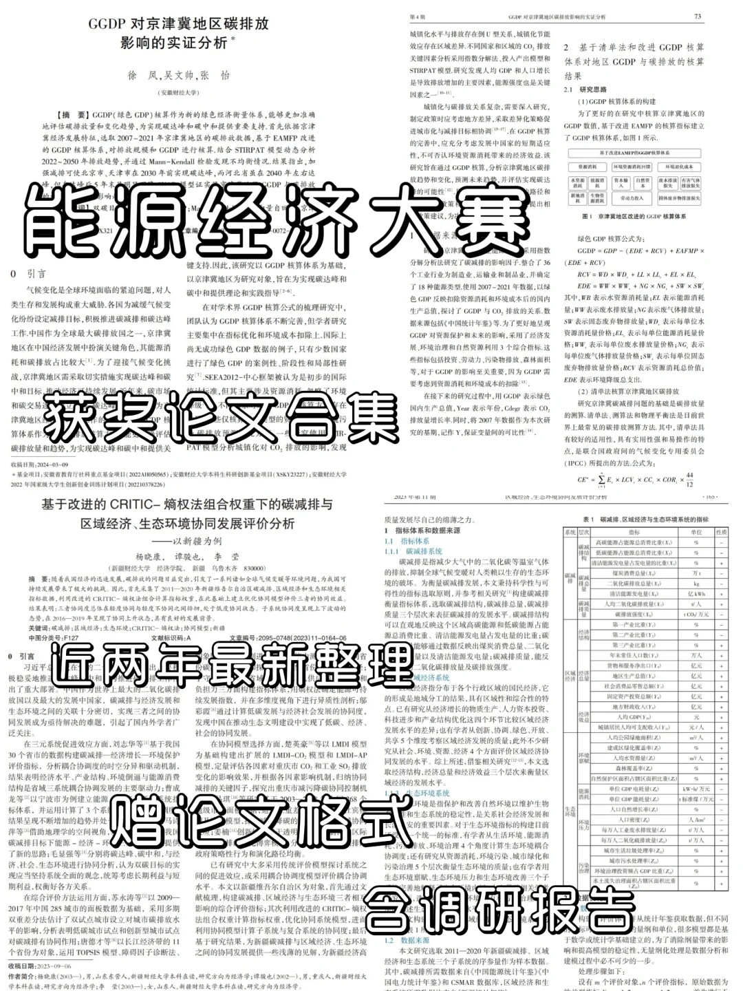 能源经济大赛近两年获奖论文 含调研报告