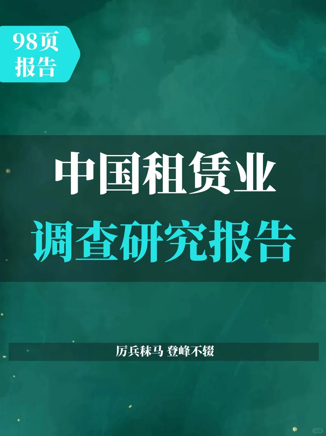 中国租赁业调查报告
