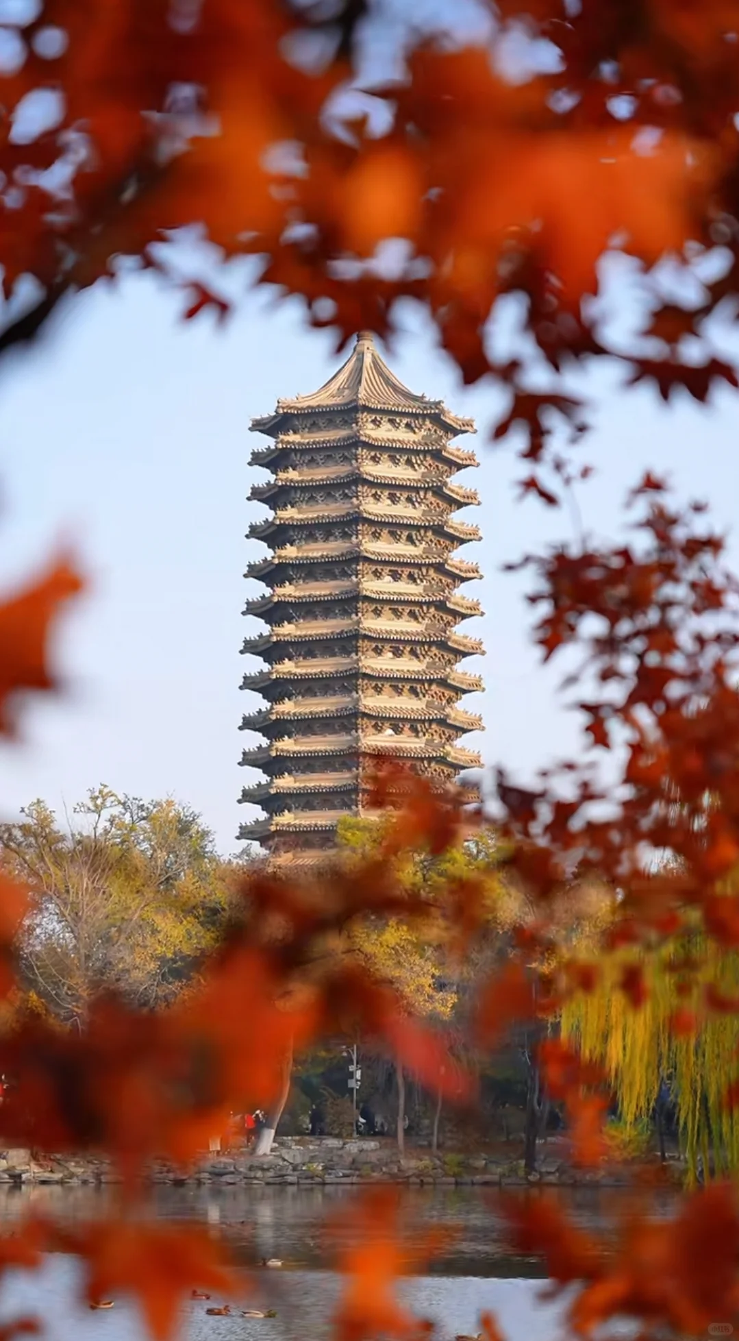 北京大学企业创新与区域经济发展班12月开课