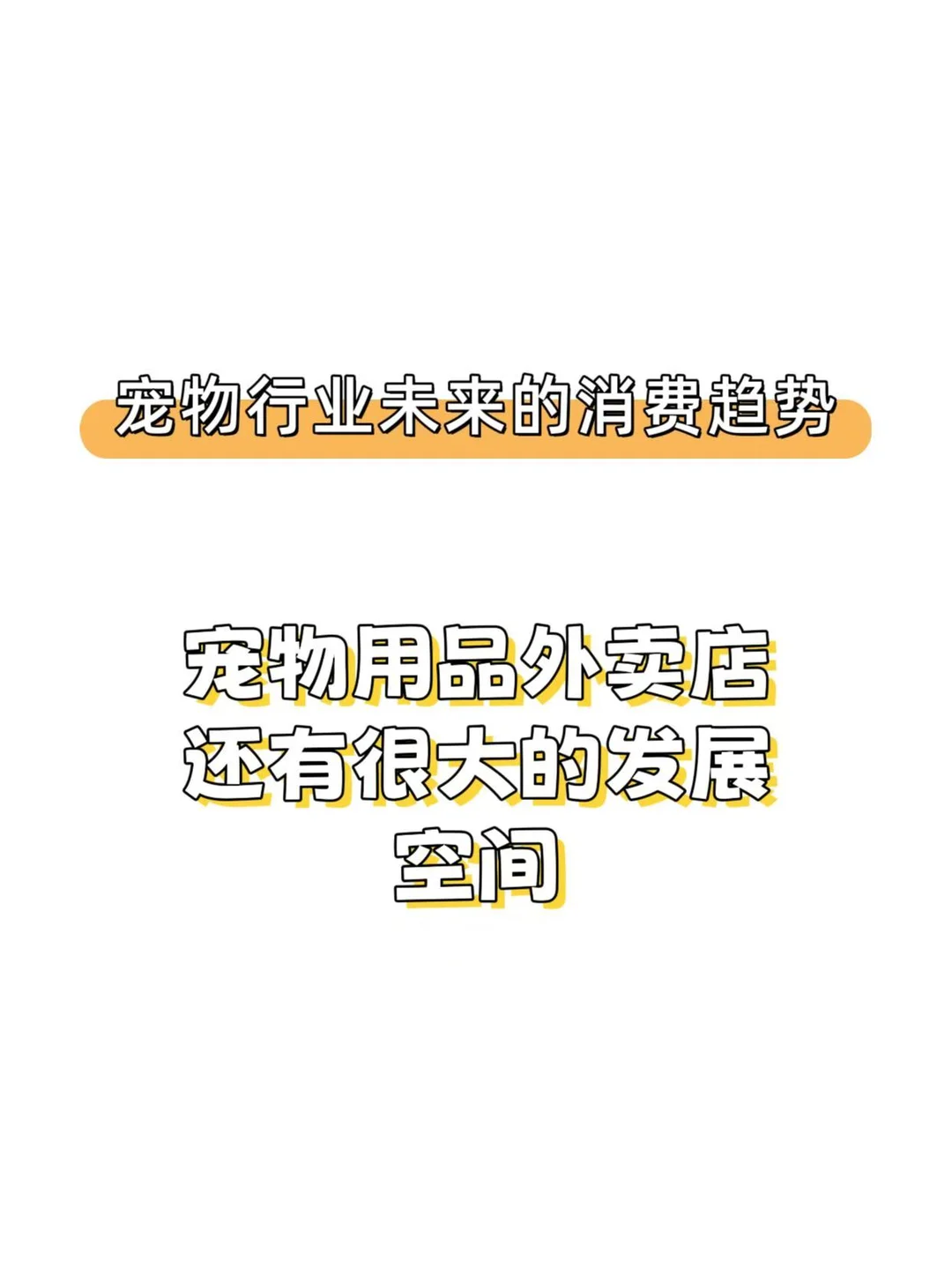 宠物行业未来的消费趋势:宠物用品外卖店