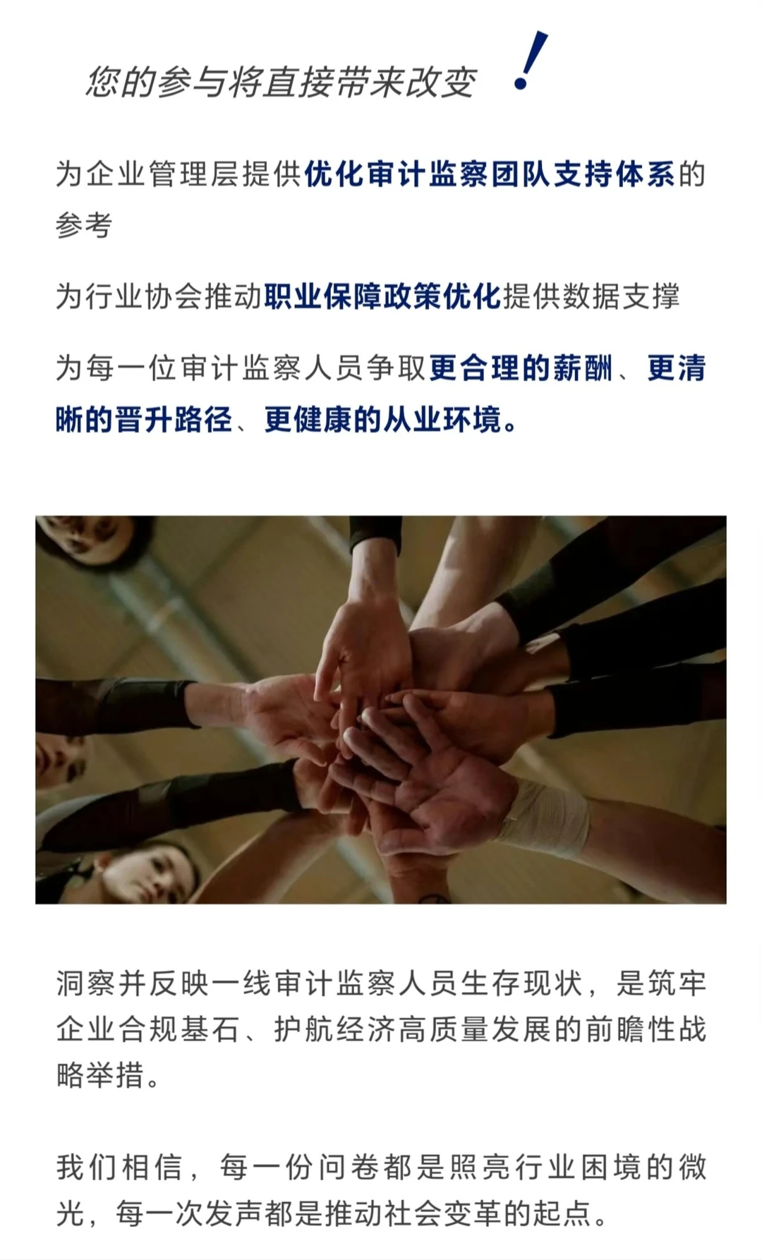 ?审计人速填!这份蓝皮书为你发声!