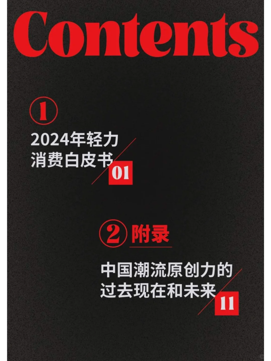 2024年轻力消费白皮书