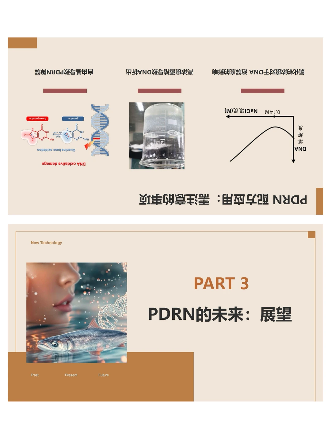 荣格PCT演讲报告:PDRN的过去、现在和未来