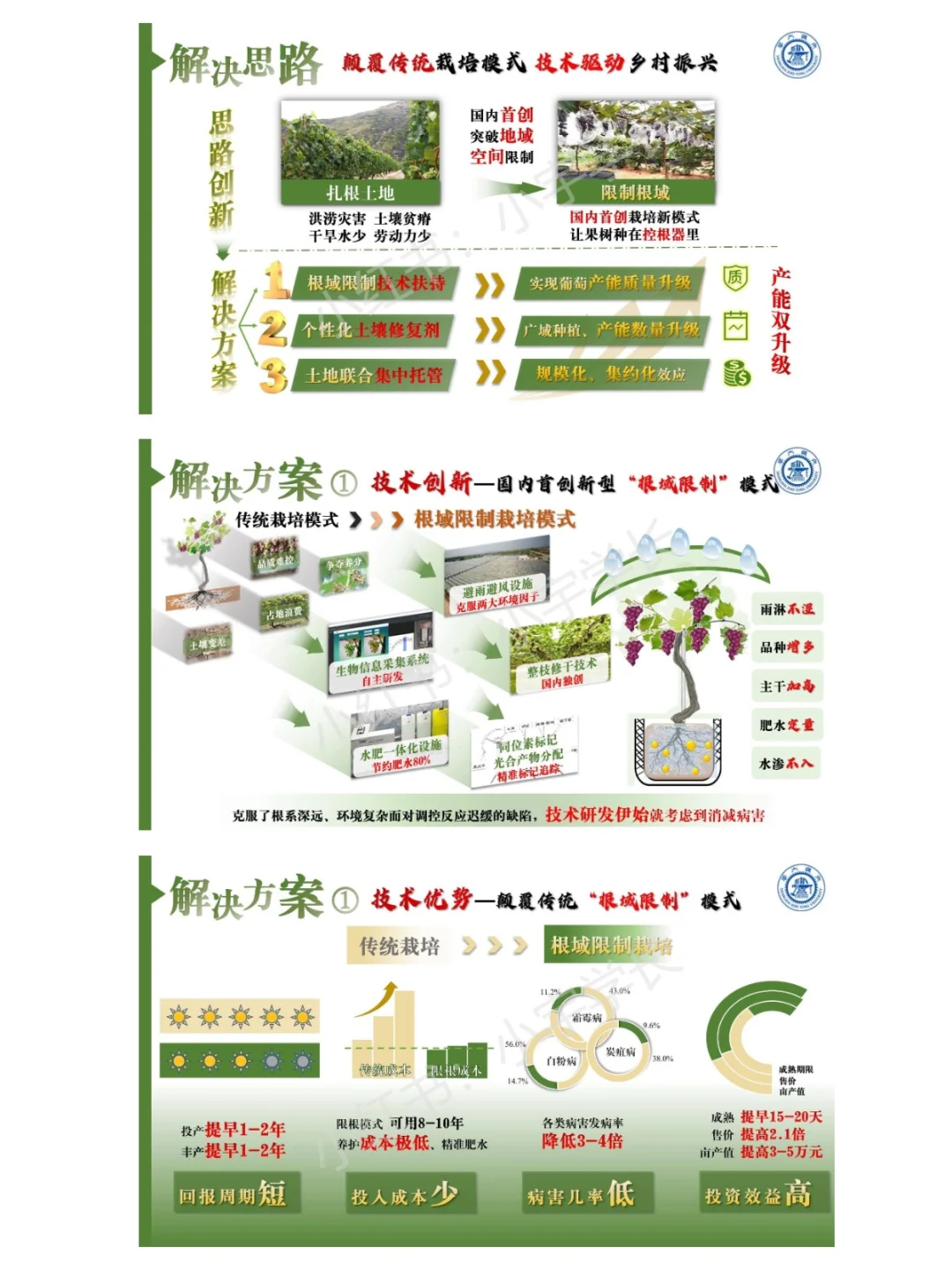 红旅赛道金奖项目｜国瑞葡?❗️