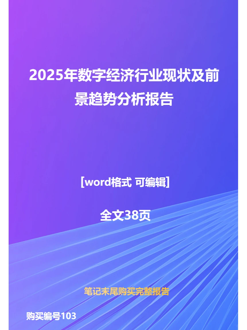 2025年数字经济行业现状及前景趋势分析报告