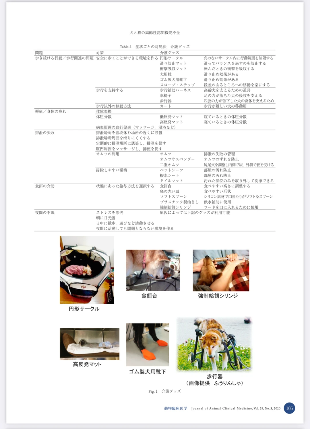 高龄动物的缓和护理——老年痴呆