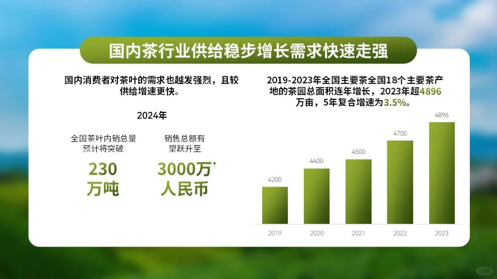 茶行业数据分析
