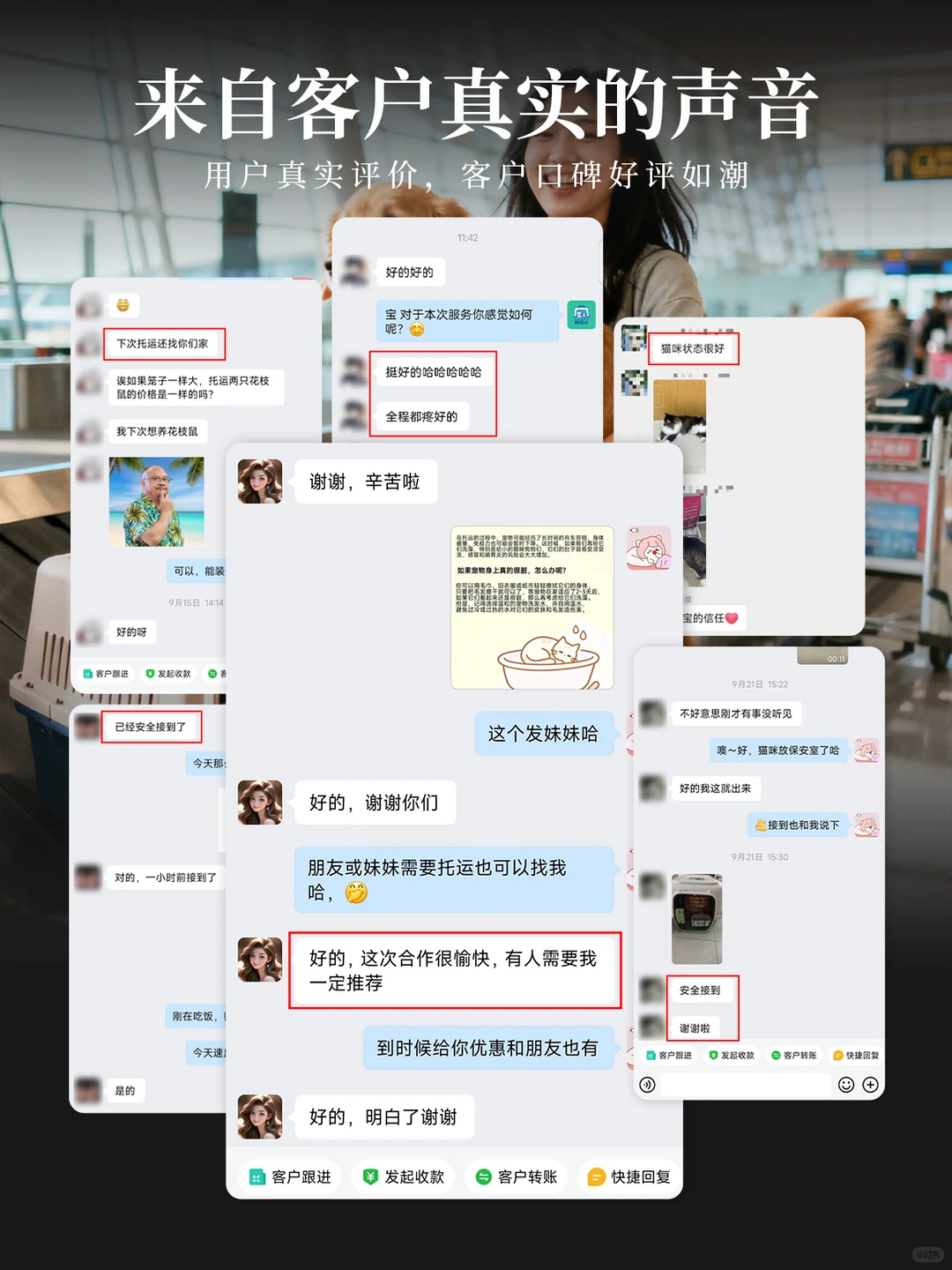90后宝妈创业选择宠物托运,从一人到几百人