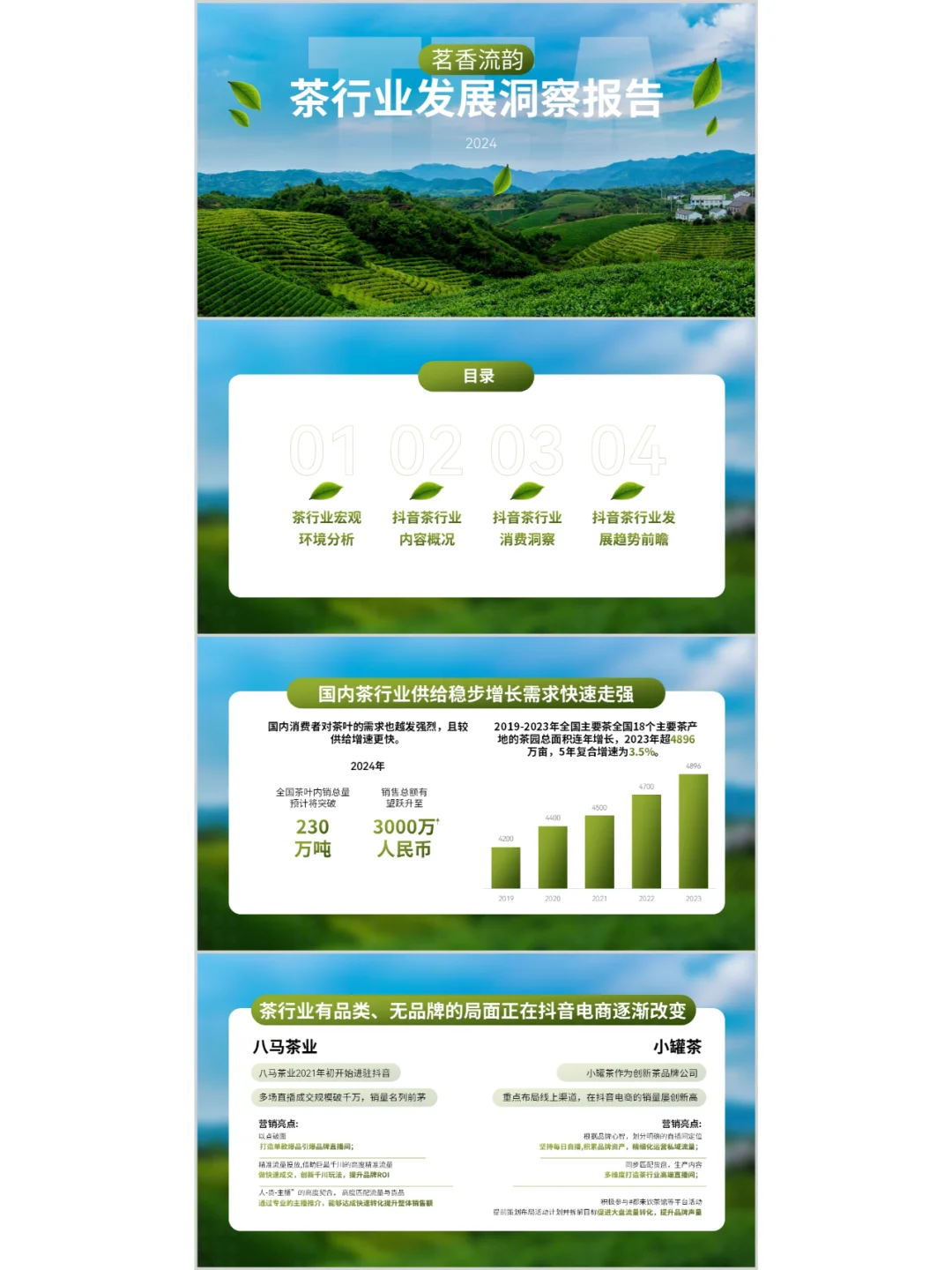 茶行业数据分析