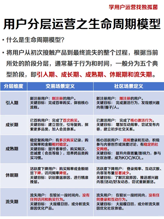 抄TOP电商作业:生命周期5阶段策略清单