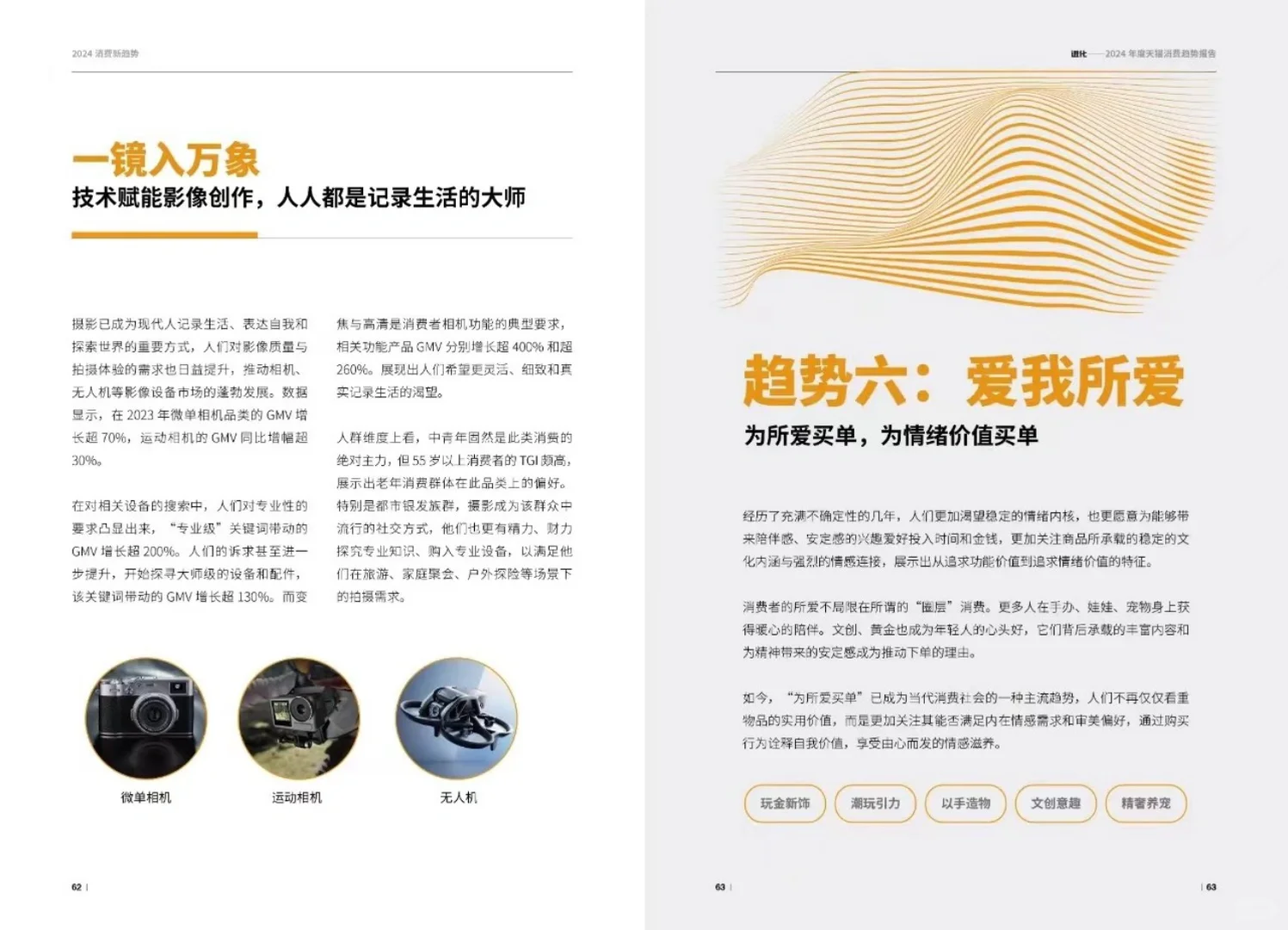 56页报告|2024年度消费趋势洞察