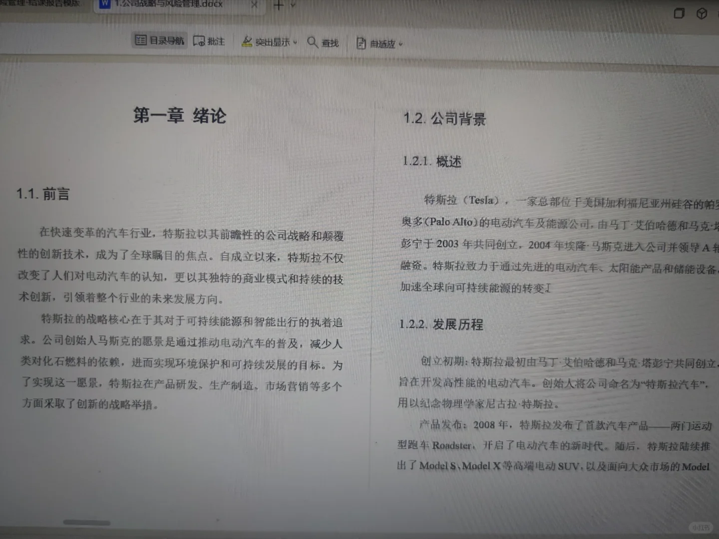 特斯拉公司战略与风险管理结课报告