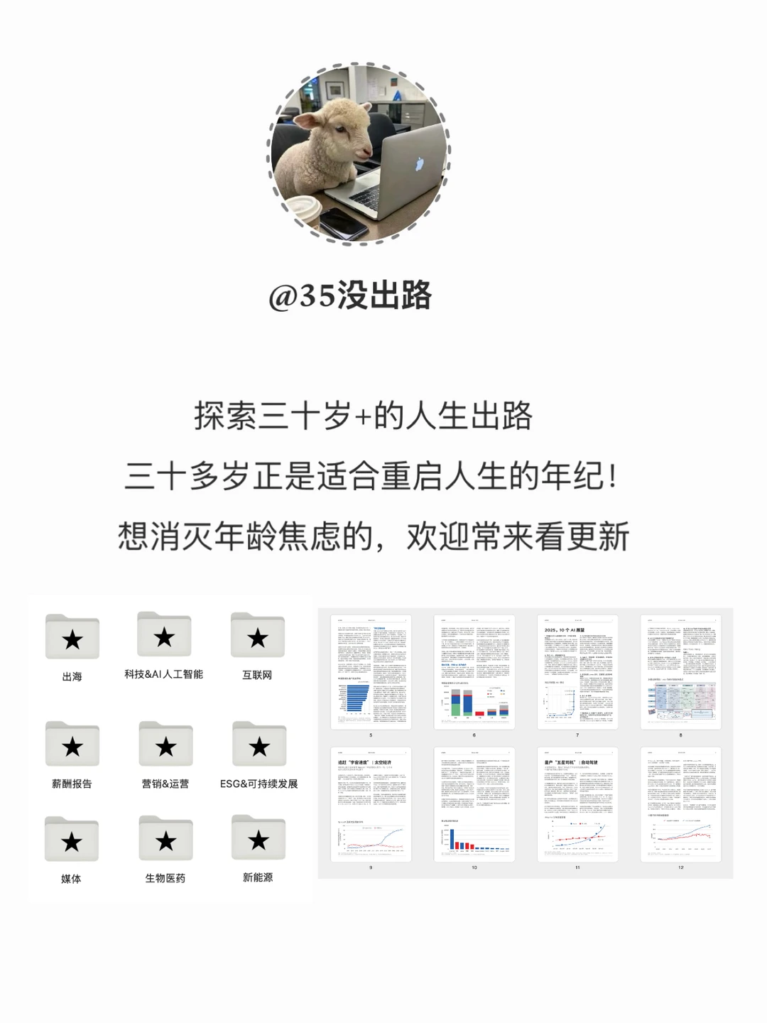 0经验怎么进入AI行业