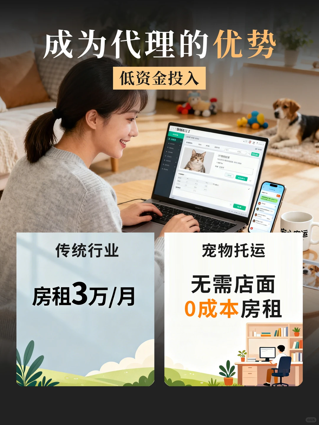 90后宝妈创业选择宠物托运,从一人到几百人