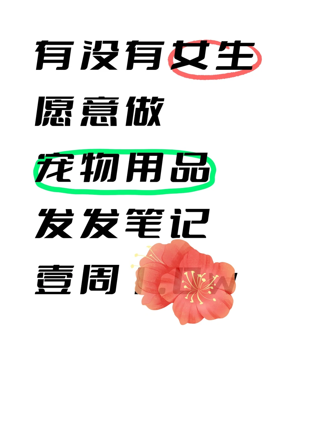 没有姐妹愿意空闲做宠物用品嘛？
