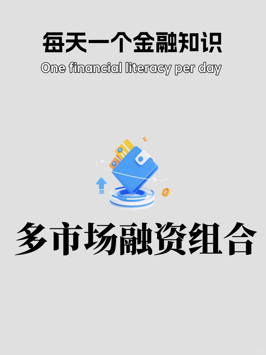 每日科普：多市场融资组合