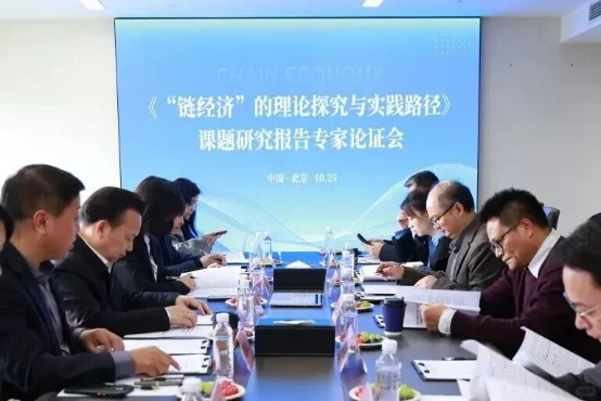 “六链融合”模式为共同富裕提供创新路径