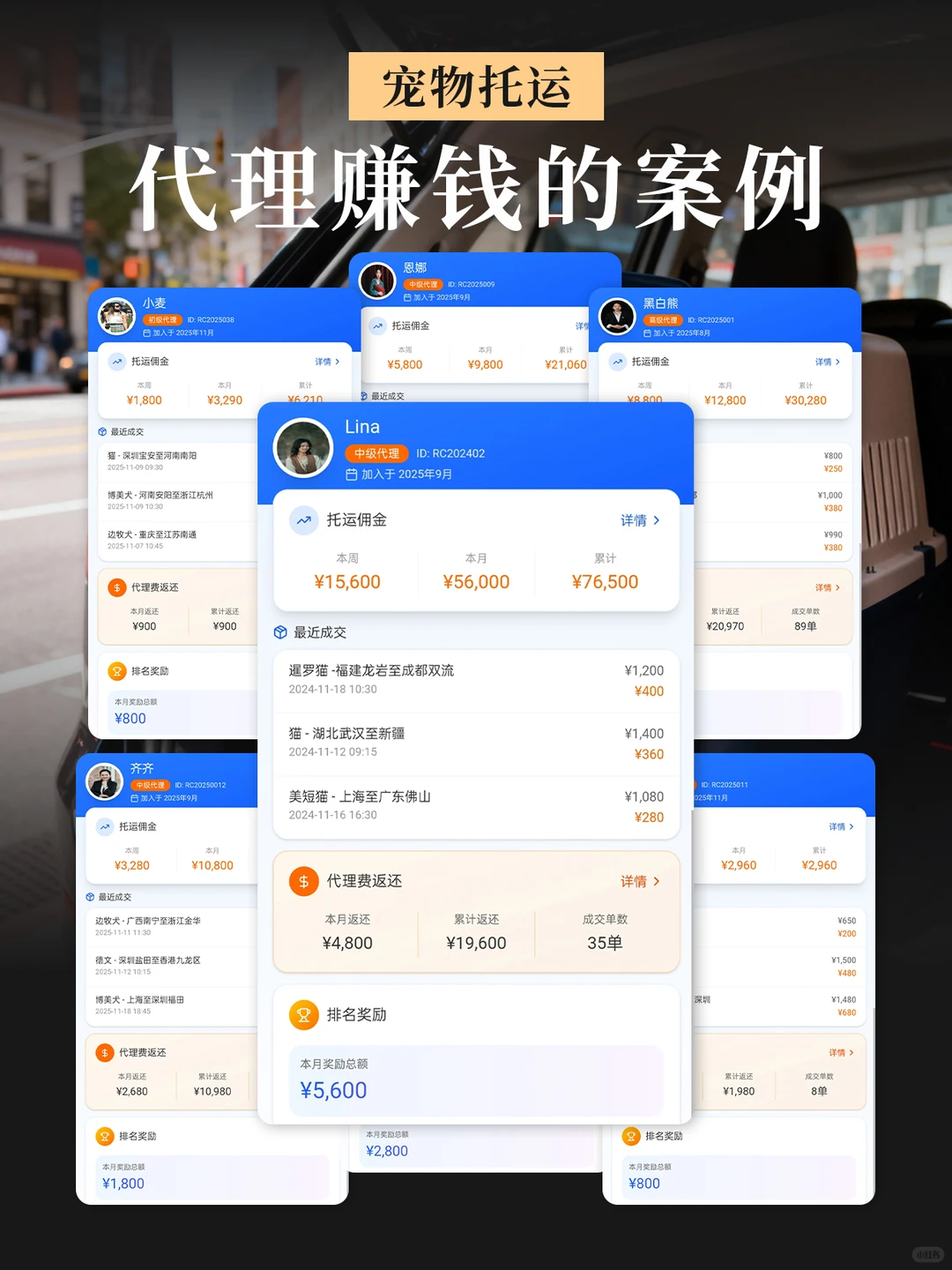 90后宝妈创业选择宠物托运,从一人到几百人