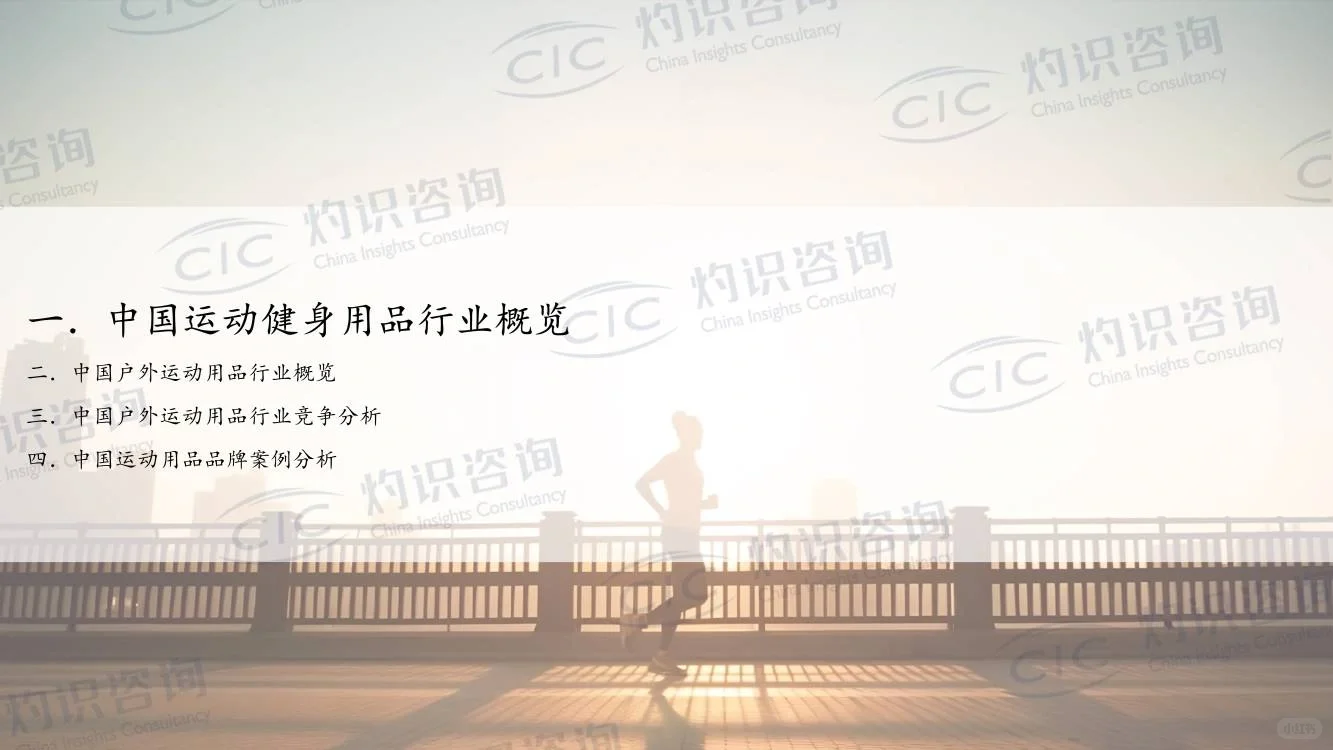 2023中国运动健身用品行业蓝皮书