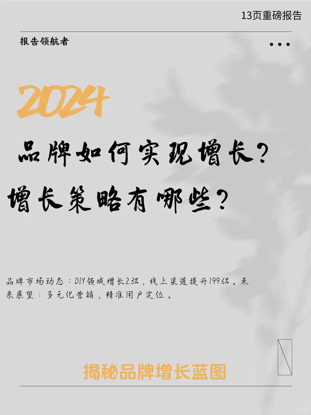 2024品牌增长策略