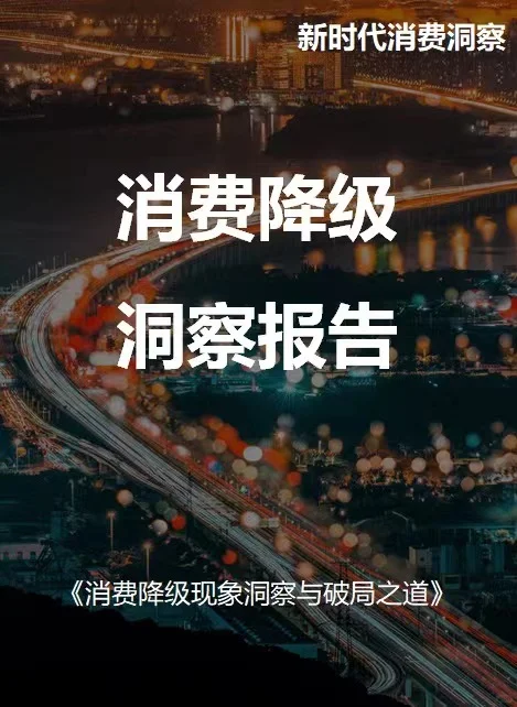 消费降级洞察报告 32 消费行为趋势