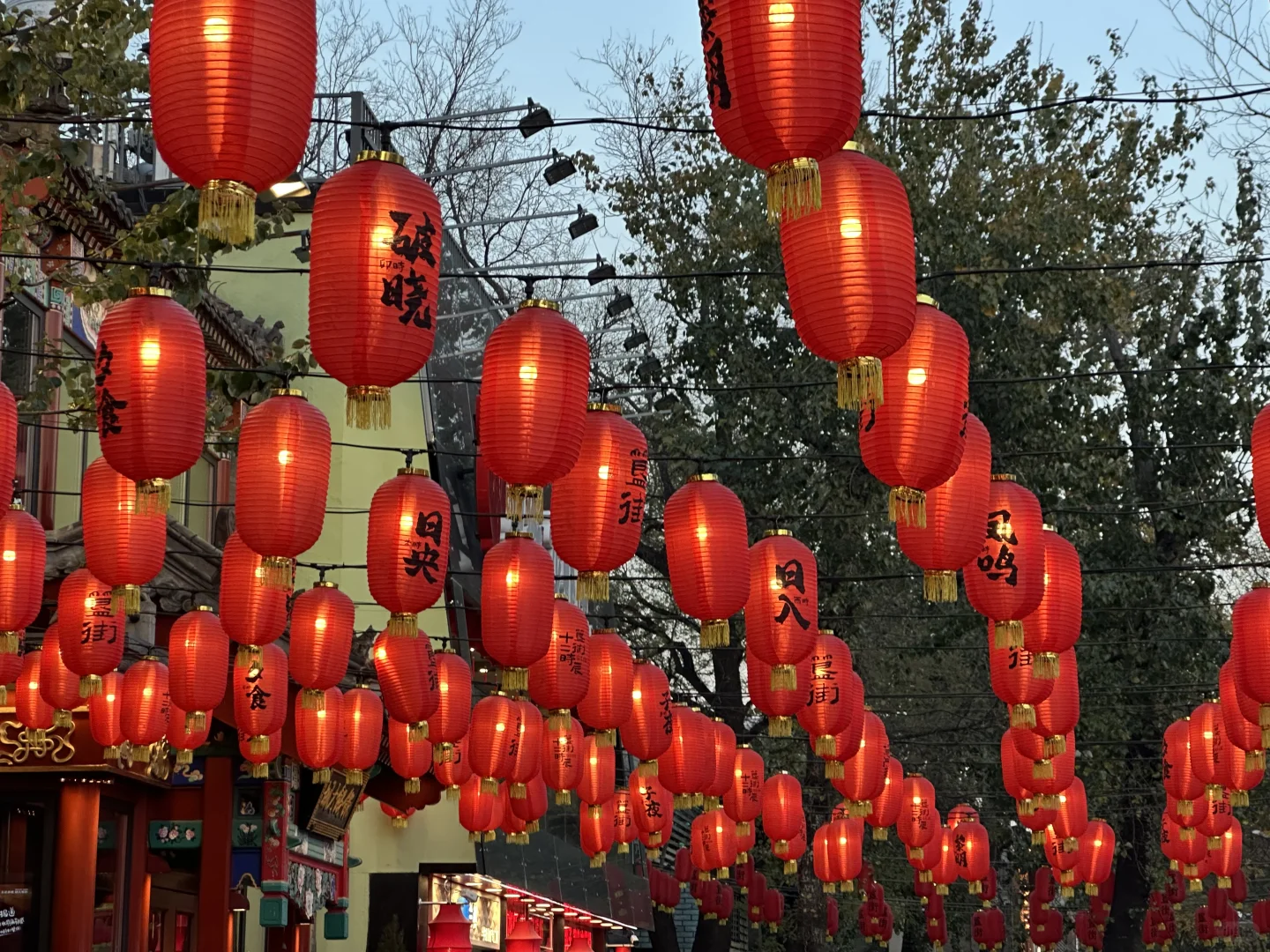 研究生,这两天生活过得疑似有点好了