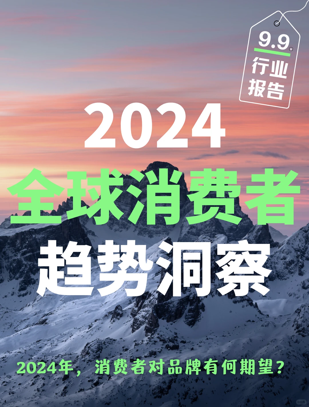 36页报告|2024全球消费者趋势