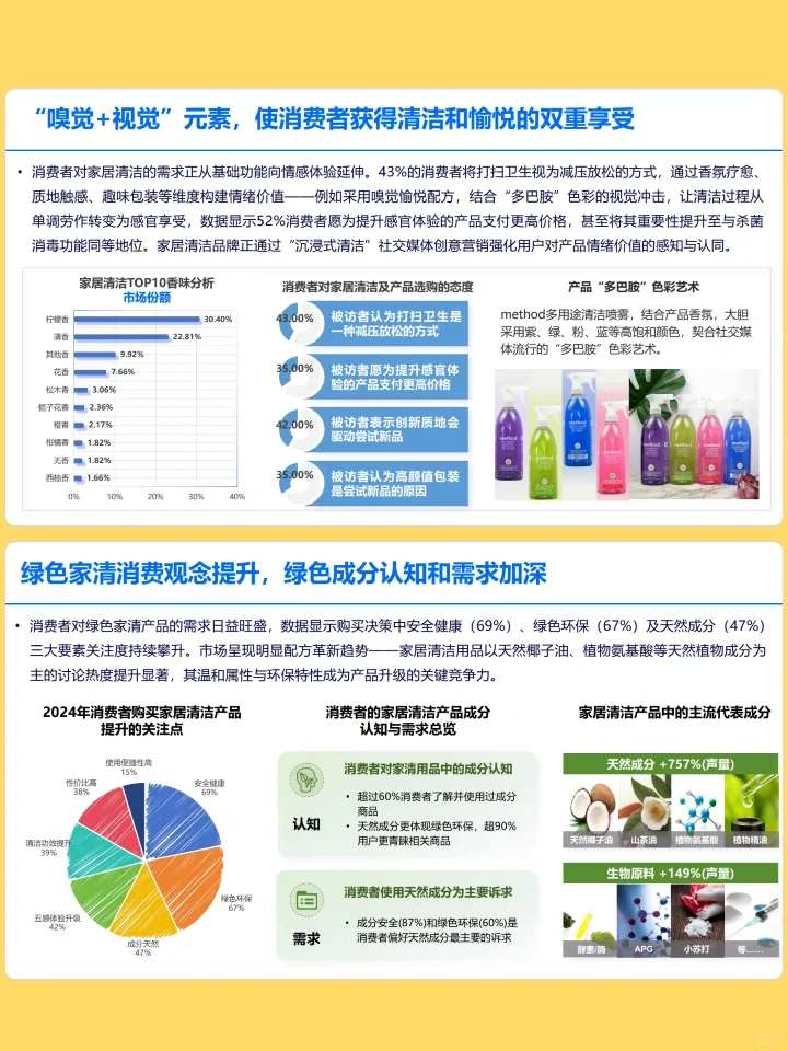 2024-2025家居清洁市场全景白皮书
