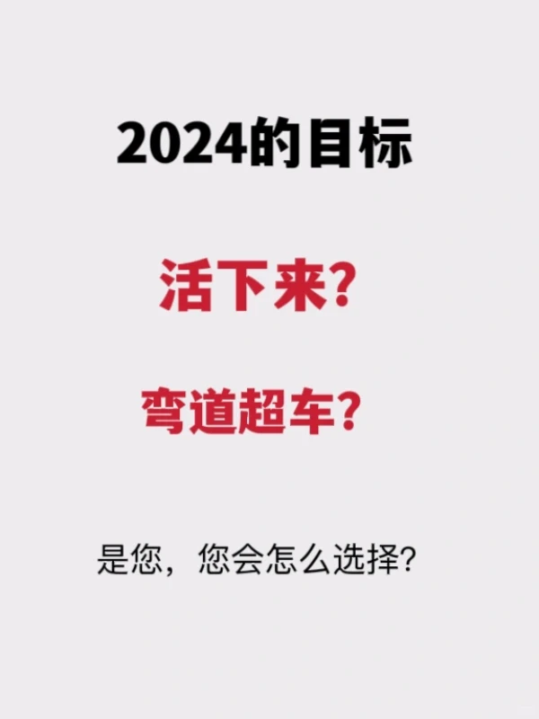 2024年?企业如何实现弯道超车?一飞冲天