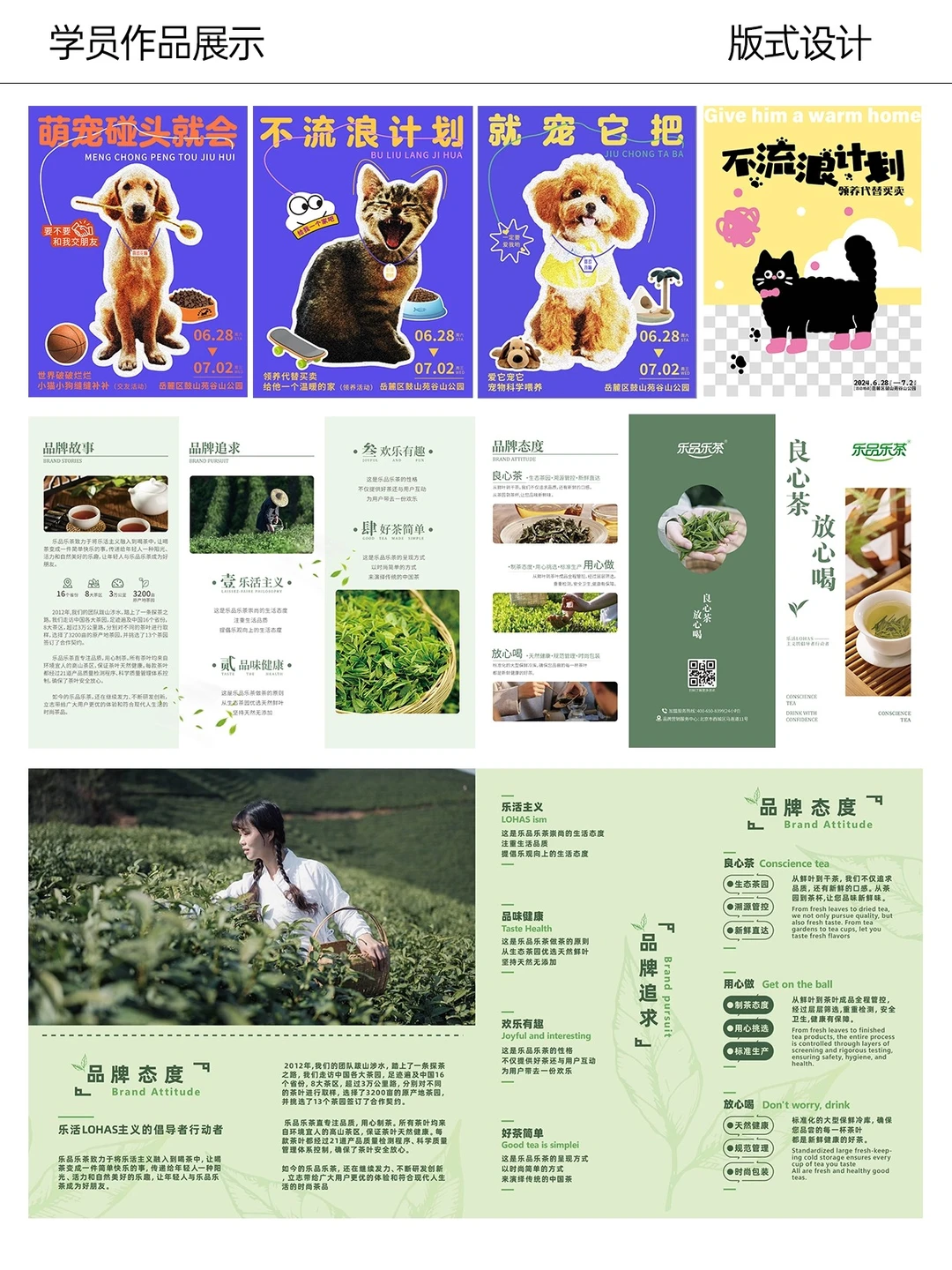 视传生不会说的秘密？就业密码竟是品牌设计