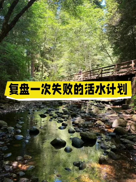 复盘一次失败的人才活水计划