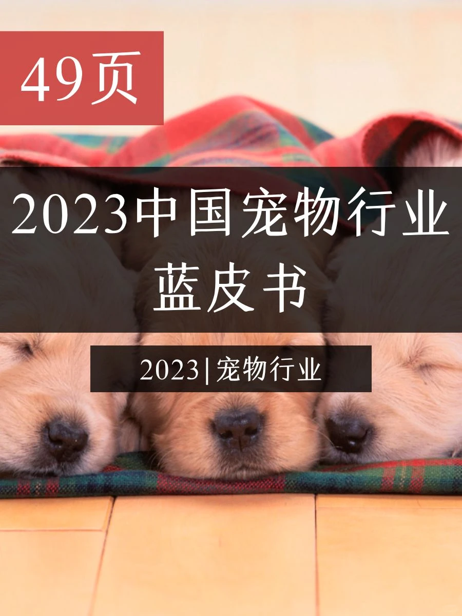 干货分享|主题：2023 宠物行业