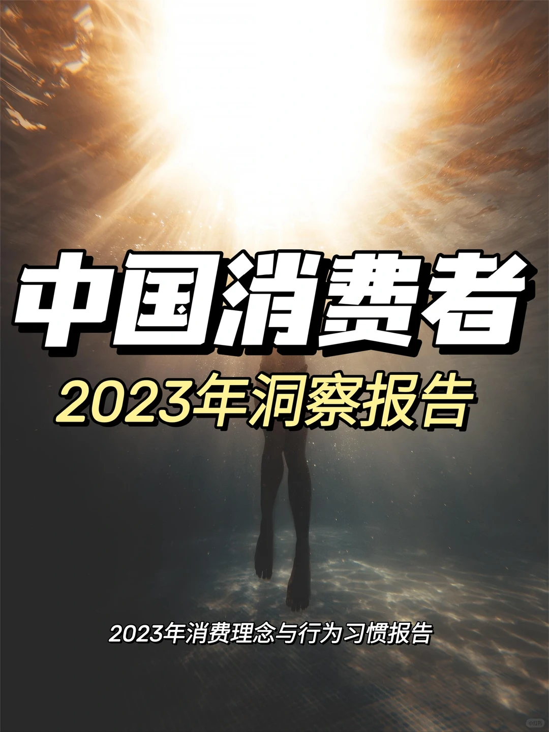 每日分享行业报告:2023年中国消费者洞察