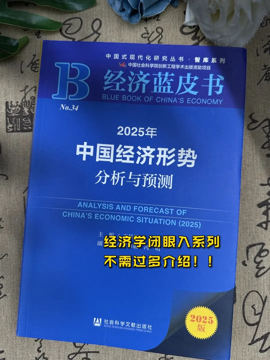要成大事者都要研究的经济蓝皮书❗