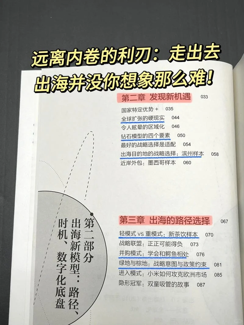 【全】2025年适合企业出海的区域和国家