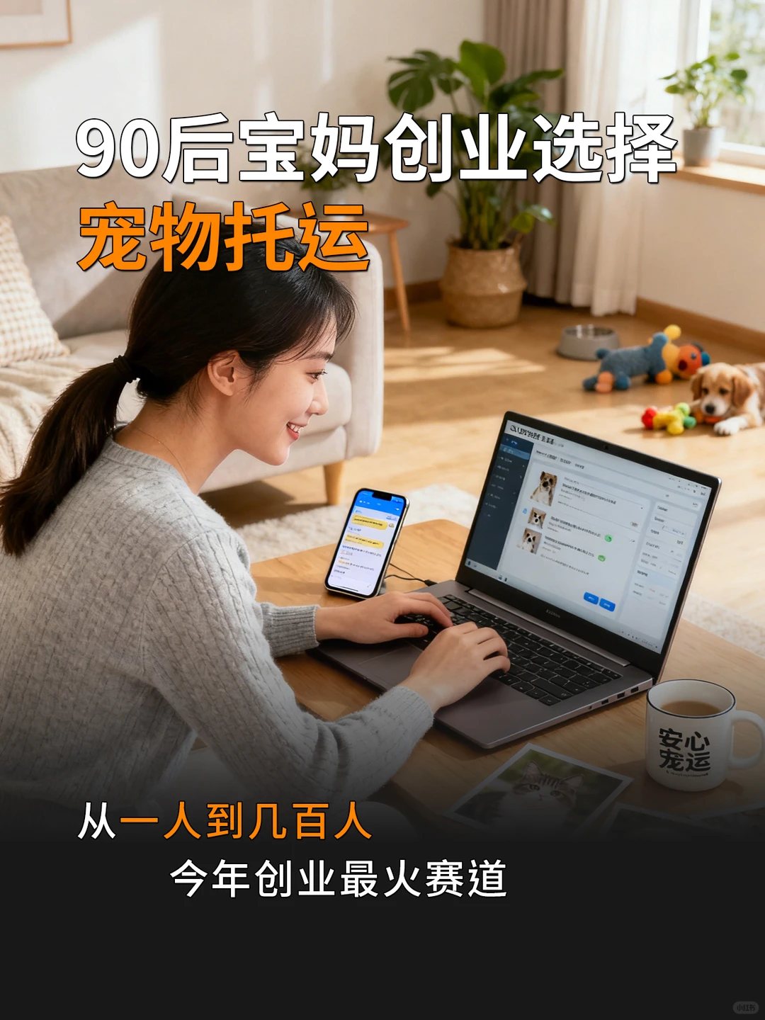 90后宝妈创业选择宠物托运,从一人到几百人